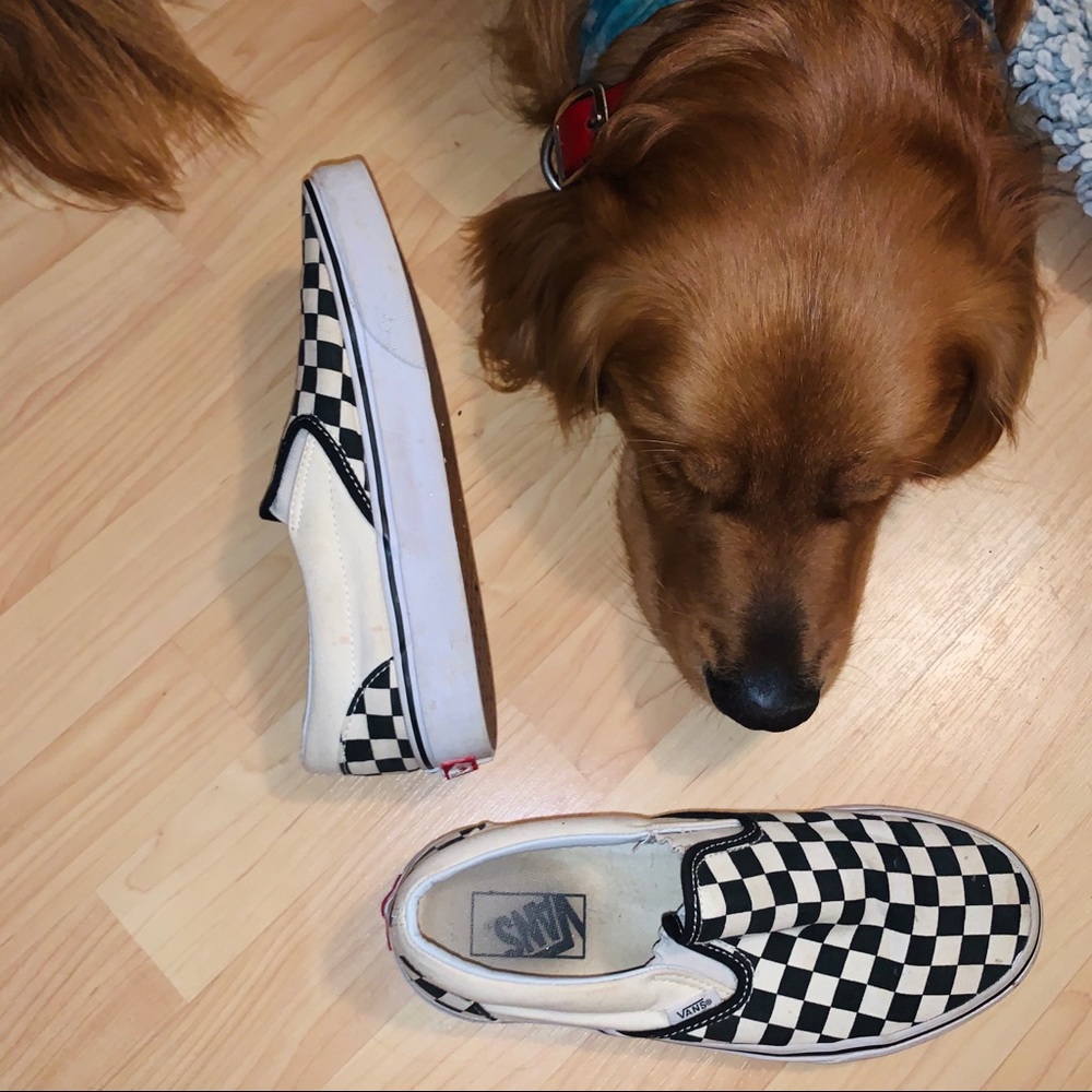 Checkered Slip On Vans